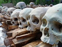 ニューギニア遺骨収集